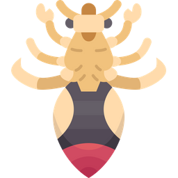 Lice  Icon