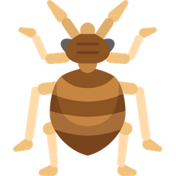 Bug  Icon