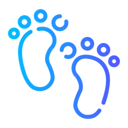 Footprint  Icon