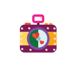 Camera  Icon