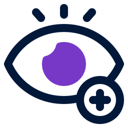 Eye  Icon