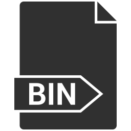 Bin file  Icon