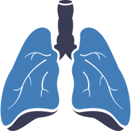 Doença pulmonar  Ícone