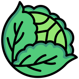 Cabbage  Icon