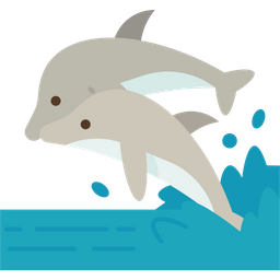 Dolphins  Icon