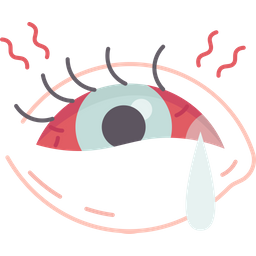 Eye  Icon