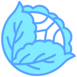 Cabbage  Icon