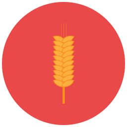 Wheat  Icon