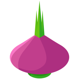 Beet  Icon