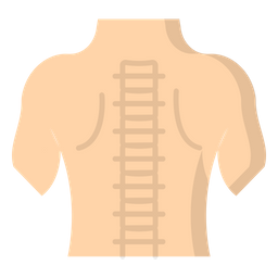 Espinha dorsal  Ícone