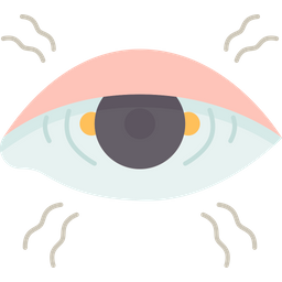 Eye  Icon