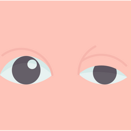 Eyes  Icon