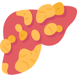 Liver Fatty Disease Icon