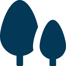 Cypress Trees  Icon