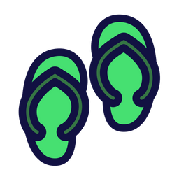 Flip flop  Icon