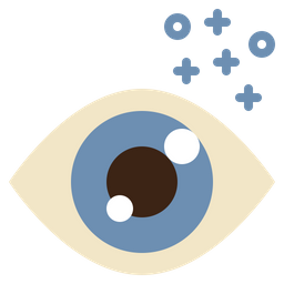 Eye  Icon