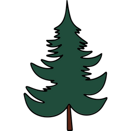 Fir tree  Icon