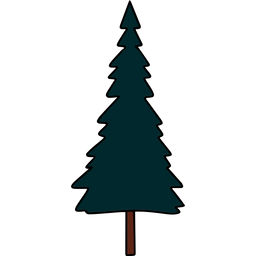 Fir tree  Icon