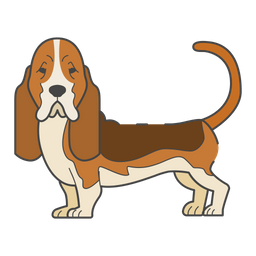 Basset Hound  Icon