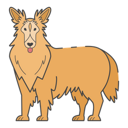 Collie  Icon