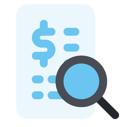 Audit  Icon