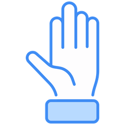 Gloves  Icon