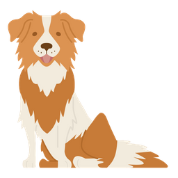 Border Collie  Icon