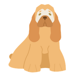 Cocker Spaniel  Icon