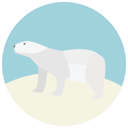 Urso polar  Ícone