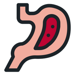 Digestion  Icon