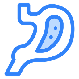 Digestion  Icon