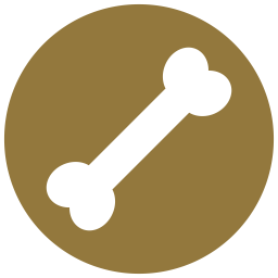 Dog bone  Icon