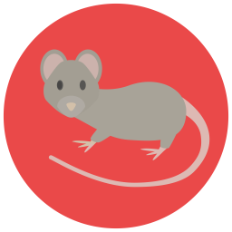 Mouse  Icon