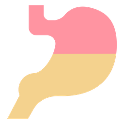 Digestion  Icon