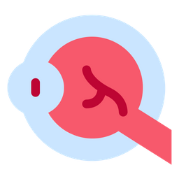 Eye  Icon