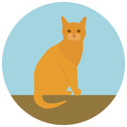 Cat  Icon