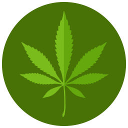 Marijuana  Icon