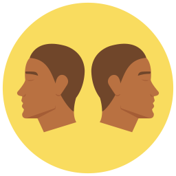 Gemini  Icon