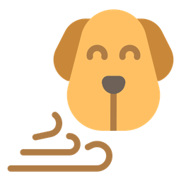 Dog  Icon