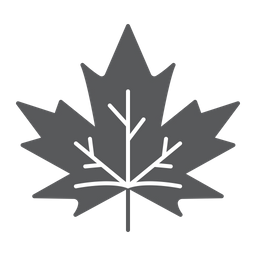 Maple  Icon