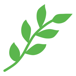 Branch  Icon