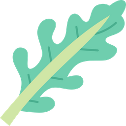 Arugula  Icon