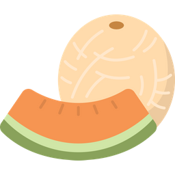 Cantaloupe  Icon