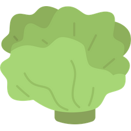 Lettuce  Icon