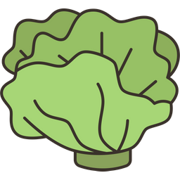 Lettuce  Icon