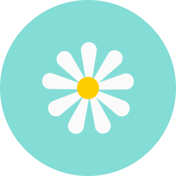 Chamomile  Icon