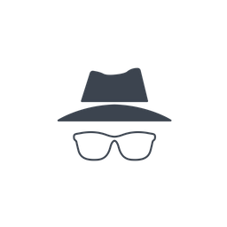 Incognito  Icon