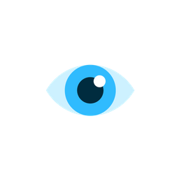 Eye  Icon