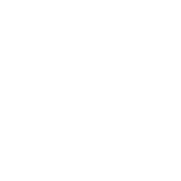 Alien face  Icon