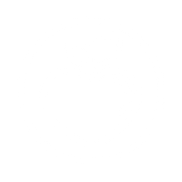 Healthy food  Icon